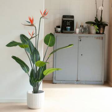 Emerald Artificial Strelitzia Plant in Pot - 120 cm | HipoMarket