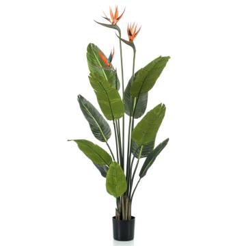 Emerald Artificial Strelitzia Plant in Pot - 120 cm | HipoMarket