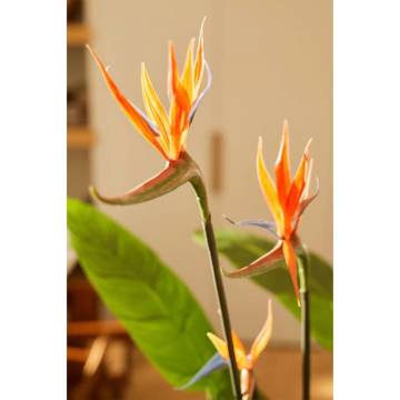 Emerald Artificial Strelitzia Plant in Pot - 120 cm | HipoMarket