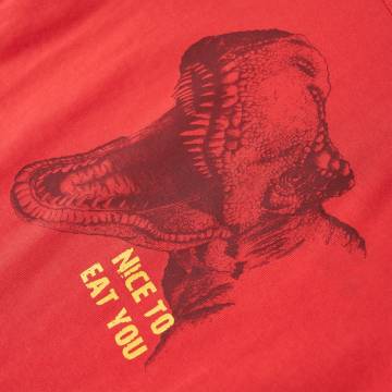 Kids' T-Shirt Red 140 - Soft Cotton Dinosaur Tee for Ages 9-10