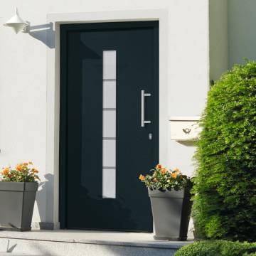 Stylish Anthracite Front Door - Aluminium & PVC | Hipo Market