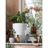 Capi Vase Nature Row Elegant Low 36x47 cm Ivory - Buy Now!