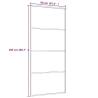 Sliding Door Aluminium & ESG Glass 90x205 cm Black - HipoMarket