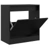 Black Shoe Cabinet - Compact & Stylish Storage Solution