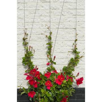 Nature Wire Trellis Sets for Climbing Plants - 2 Pcs