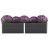 Garden Raised Bed 250x50x54 cm WPC Grey Colour grey Size 250 x 50 x 54 cm Quantity in Package 1 