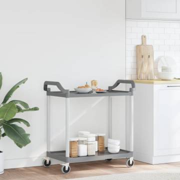 2-Tier Grey Trolley | Durable & Convenient Storage Solution