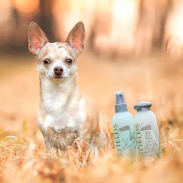 Greenfields Complete Care Dog Shampoo & Spray Set | 500ml