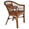 Outdoor Chair Natural Rattan Brown Colour brown Quantity in Package 1 Cushion included no Number of 