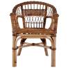 Stylish Outdoor Chair - Natural Rattan in Brown