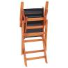 Folding Garden Chairs Set - 2 Pcs Black Eucalyptus Wood