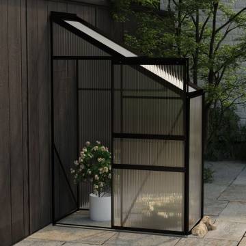 Anthracite Aluminium Greenhouse - Spacious & Durable | HipoMarket