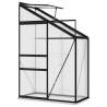 Anthracite Aluminium Greenhouse - Spacious & Durable | HipoMarket