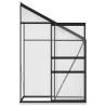 Anthracite Aluminium Greenhouse - Spacious & Durable | HipoMarket