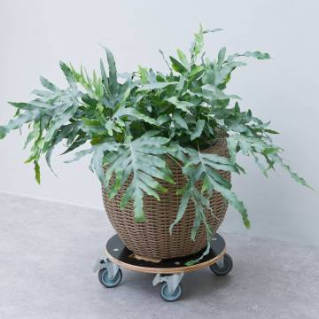 Nature Plant Trolley Round Ø38cm - Black Wood | Hipomarket