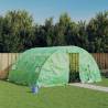 Greenhouse with Steel Frame Green 20 m² 5x4x2.3 m Colour green Size 5 x 4 x 2.3 m Quantity in Package 1 