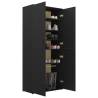 Elegant Black Shoe Cabinet - Engineered Wood 80x39x178 cm