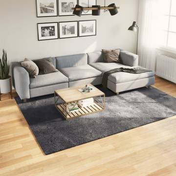 HUARTE Anthracite Rug 200x280 cm - Soft & Washable