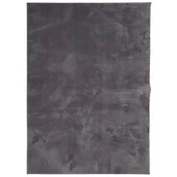 HUARTE Anthracite Rug 200x280 cm - Soft & Washable