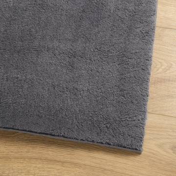 HUARTE Anthracite Rug 200x280 cm - Soft & Washable