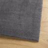 HUARTE Anthracite Rug 200x280 cm - Soft & Washable