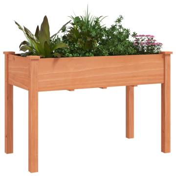 Planter with Liner Brown - Solid Wood Fir 118x59x76 cm