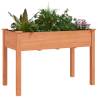 Planter with Liner Brown - Solid Wood Fir 118x59x76 cm