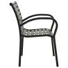 Garden Chairs Set of 2 - Weather-Resistant Steel & WPC Black