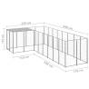 Dog Kennel Silver 6.05 m² Steel - Durable & Spacious