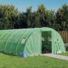 Greenhouse with Steel Frame Green 24 m² 6x4x2 m Colour green Size 6 x 4 x 2 m Quantity in Package 1 