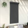 Roller Shutter Aluminium 100x210 cm Anthracite Colour anthracite Size 100 x 210 cm 