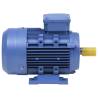 3 Phase Electric Motor 2.2kW/3HP Aluminium - High Performance