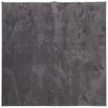 HUARTE Short Pile Soft Washable Rug 120x120 cm Anthracite