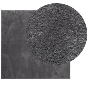 HUARTE Short Pile Soft Washable Rug 120x120 cm Anthracite