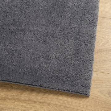 HUARTE Short Pile Soft Washable Rug 120x120 cm Anthracite