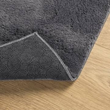 HUARTE Short Pile Soft Washable Rug 120x120 cm Anthracite