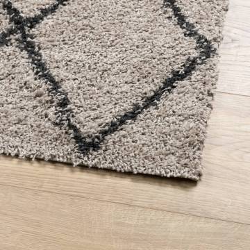 Shaggy Rug High Pile Beige & Anthracite 120x170 cm - Cozy Comfort