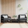 Garden Chairs 2 pcs Black Solid Wood Pine Colour black pine Quantity in Package 1 Model chair (2 pcs) 