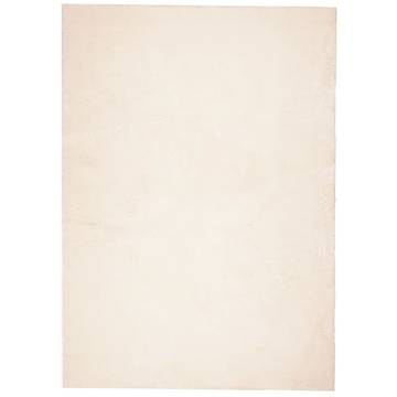 HUARTE Washable Beige Rug - Soft and Non-Slip 240x340 cm