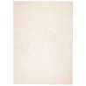 HUARTE Washable Beige Rug - Soft and Non-Slip 240x340 cm