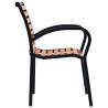 Stylish Garden Chairs Set - 2 pcs Steel & WPC Black/Brown