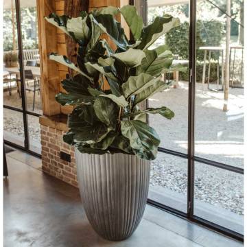 Capi Urban Tube Low Vase 55x73 cm - Dark Grey Elegance