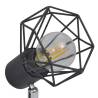 Black Industrial Wire Frame Spot Light with 2 LED Bulbs