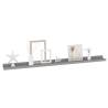 Stylish Grey Wall Shelves - 2 pcs 100x9x3 cm | HipoMarket