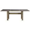 Garden Dining Table Brown 200x100x74 cm - Durable & Stylish