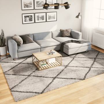 Shaggy Rug PAMPLONA - Modern Beige & Anthracite | 240x340 cm