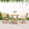 Folding Garden Chairs - 2 Pcs Solid Acacia Wood | HipoMarket UK