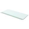 Shelves 2 pcs Panel Glass Clear 60x20 cm Size 60 x 20 cm Quantity in Package 2 Number of Pieces 1 