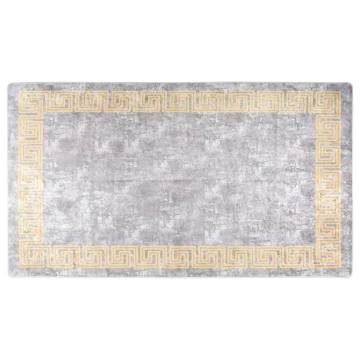 Washable Grey Rug 190x300 cm | Anti-Slip & Soft Velvet