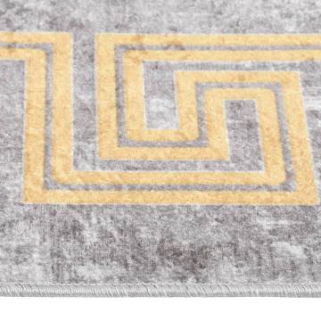 Washable Grey Rug 190x300 cm | Anti-Slip & Soft Velvet